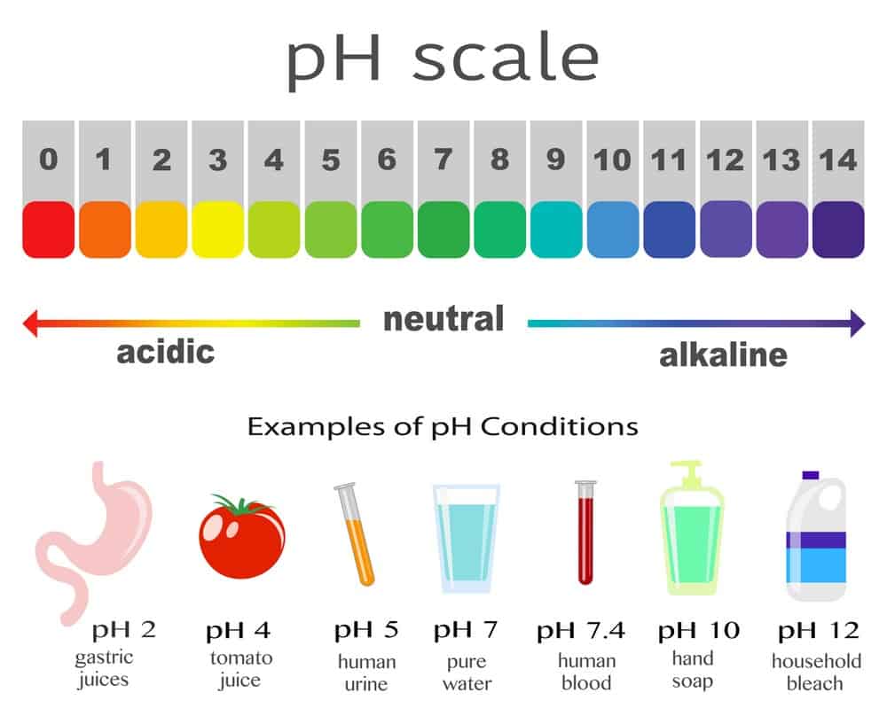 Échelle de pH