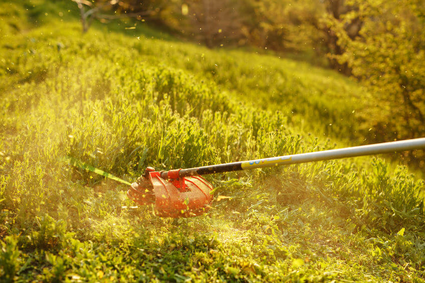 couper l'herbe au soleil