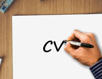 Curriculum vitae